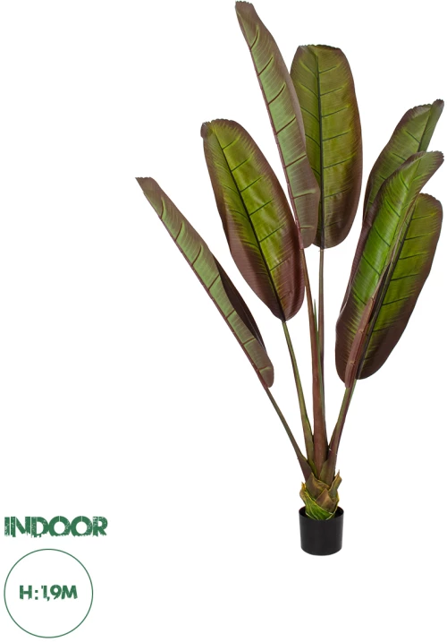 GloboStar® Artificial Garden BLOODY BANANA TREE 20118 Τεχνητό Διακοσμητικό Φυτό Αιματόφυλλη Μπανανιά - Μπανανόδεντρο Υ190cm