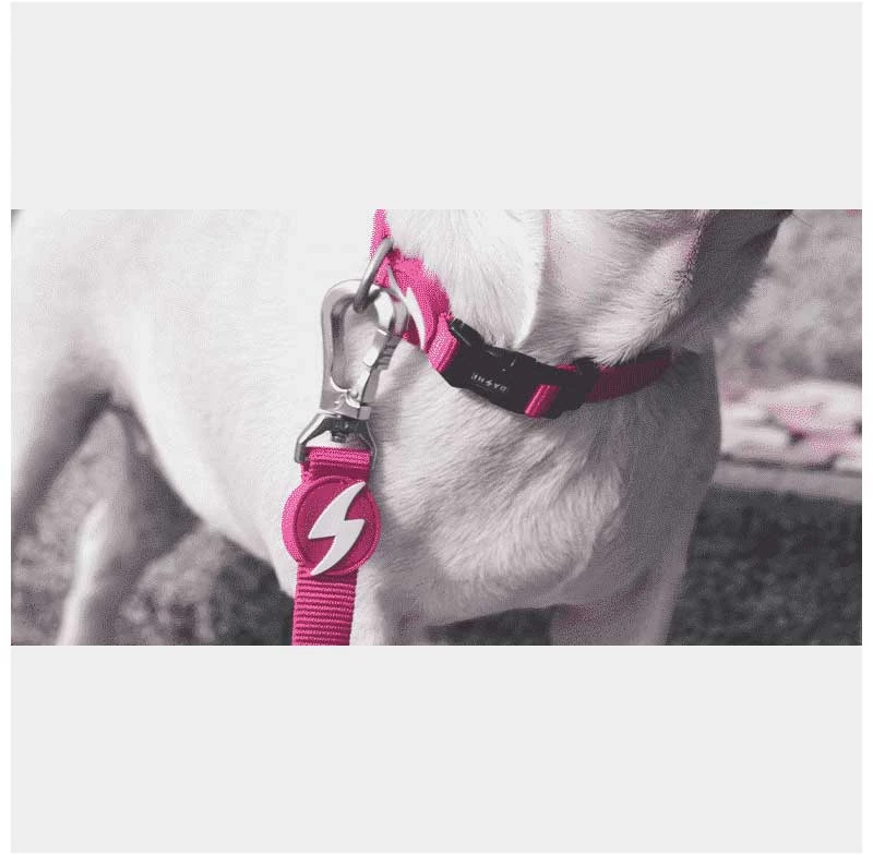 Dashi Οδηγός Σκύλου Solid Pink Large 2.5×1.20cm