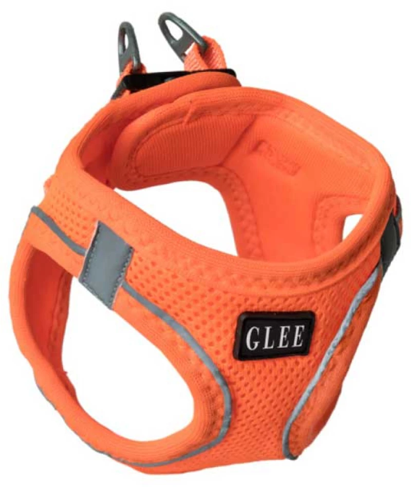 Glee Σαμαράκι Joy Πορτοκαλί Ιμάντα Saddle 2XS 28-32cm