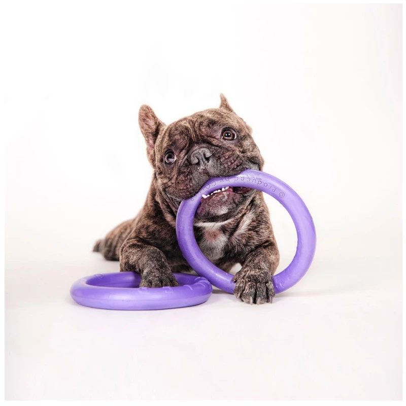 Waudog Puller Fitness Tool Micro 12.5cm 2τμχ