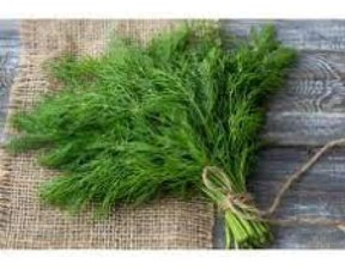 Άνηθος Αρωματικός Dukat | 500gr