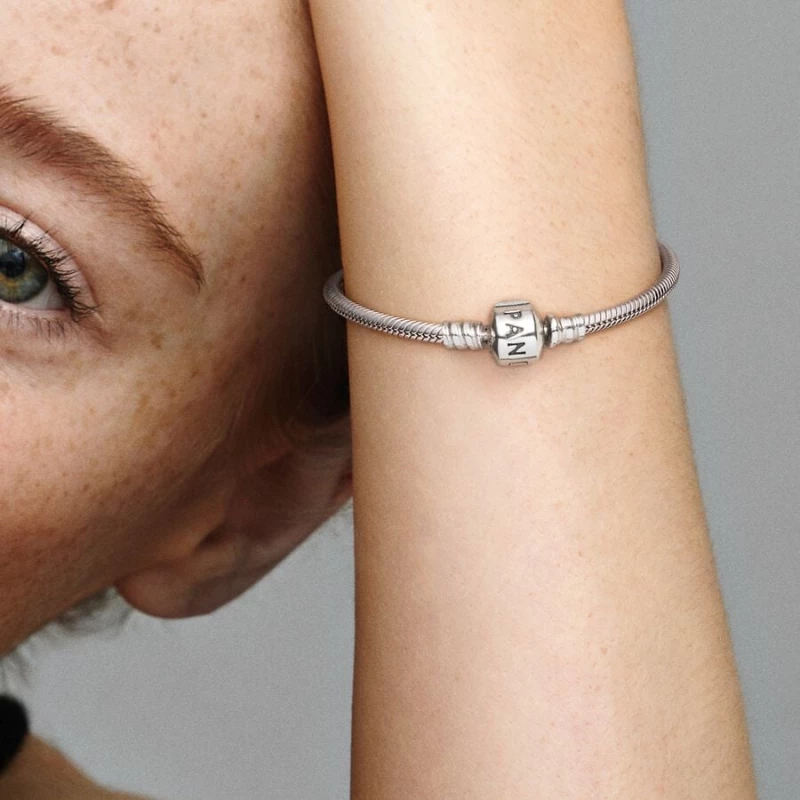 Pandora Στιγμές Snake Chain Βραχιόλι 590702HV-20