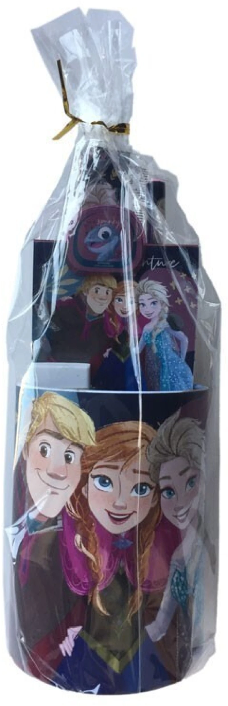 GIM ΣΧΟΛΙΚΟ ΣΕΤ ΔΩΡΟΥ ΜΟΛΥΒΟΘΗΚΗ FROZEN- 341-69884