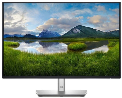 Dell 24 Monitor - P2425