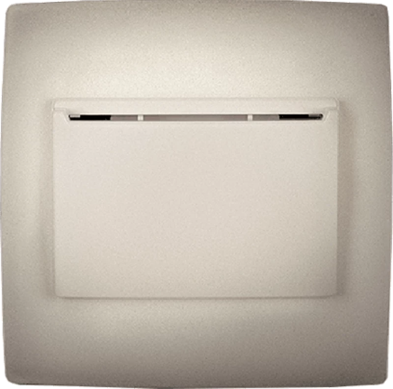 CITY KEY POWER SWITCH CHAMPAGNE METALLIC