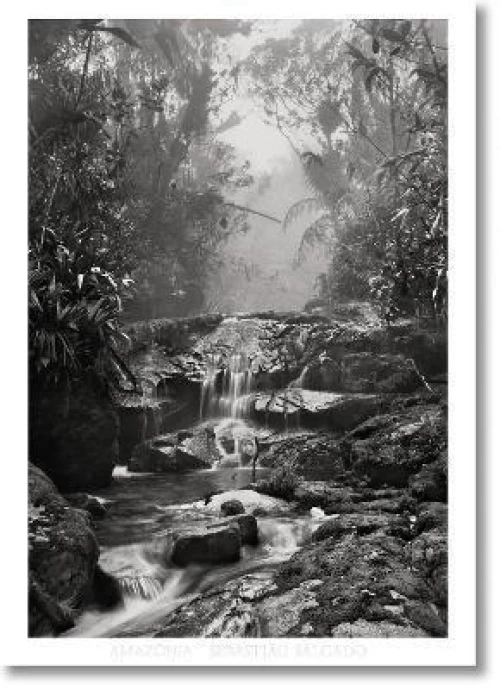 Sebasti?o Salgado. Amazοnia. Poster Creek