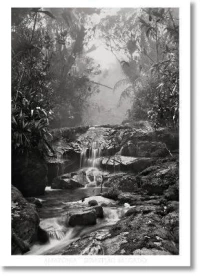 Sebasti?o Salgado. Amazοnia. Poster Creek