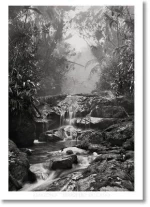 Sebasti?o Salgado. Amazοnia. Poster Creek
