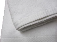 Πετσέτα PLAIN Line Cotton 100% 500gr/m2 50x90 Le Blanc