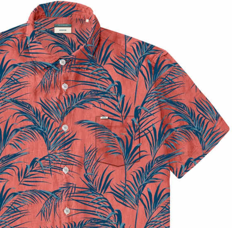 REBASE SHIRT (231.RGS.308 CC3 RED)