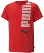 PUMA LOGOLAB SET (673284-11)