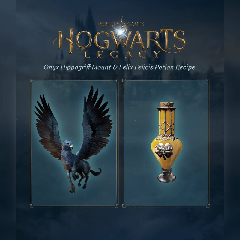 Hogwarts Legacy / PlayStation 5