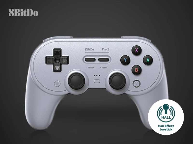 8BitDo PRO 2 Gamepad Hall Ed/Gray / Nintendo Switch