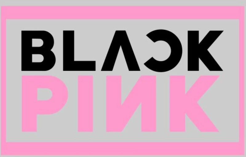 Black Pink Logo Φούτερ - WHITE