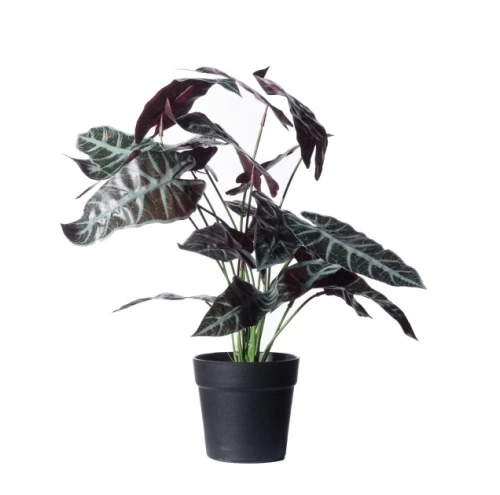 Τεχνητό Φυτό Αλοκάσια Amazonica Polly 40 εκ. 9360-6 Supergreens 9360-6 Πράσινο