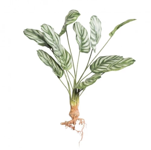 Τεχνητή Χωνευτή Καλαθέα Orbifolia 61 εκ. 7431-7 Supergreens 7431-7 Πράσινο