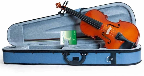 Domus Rialto Violin - 4/4