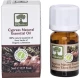 Essential Oil - Organic Cypress