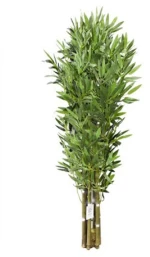 120cm Τεχνητό Διακοσμητικό Φυτό Μπαμπού σε Γλάστρα