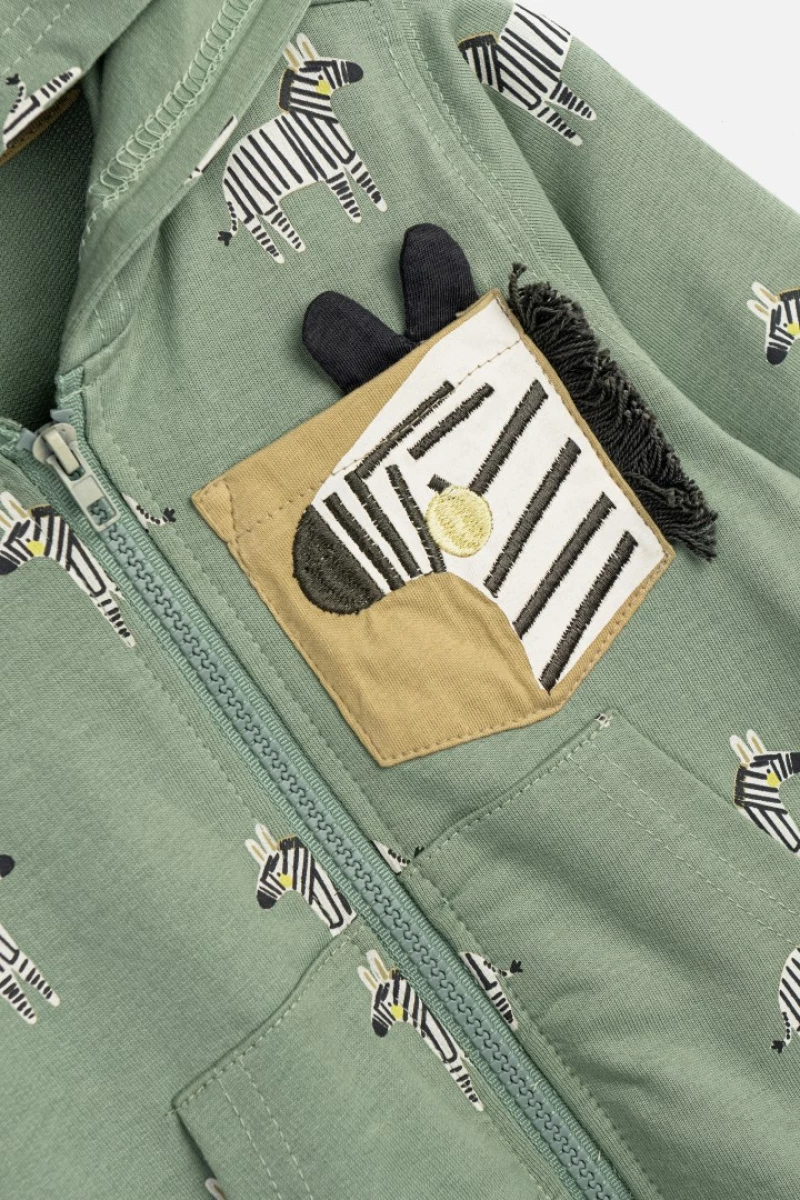 Ζακέτα εποχιακή βρεφικό αγόρι "Zebra" χακί (Χακί)