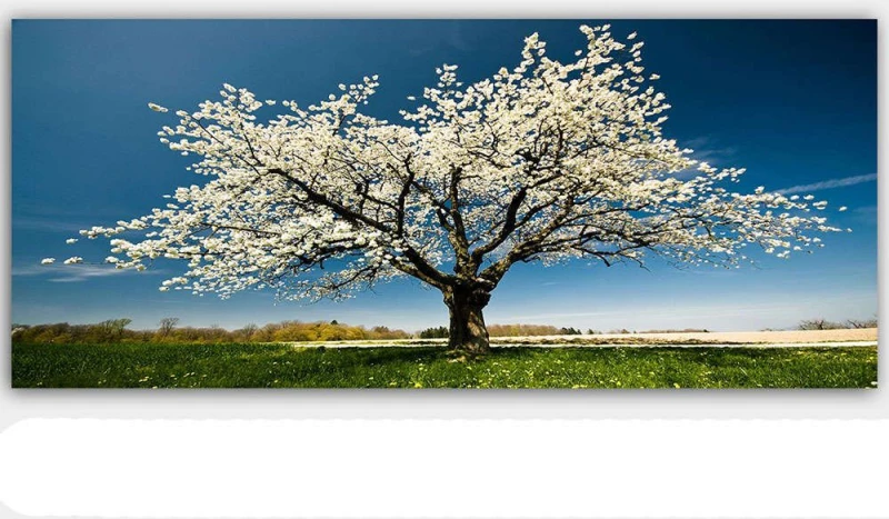 Πίνακας Καμβάς 451ERN1232 120x50cm Multi Wallity Οριζόντιοι Καμβάς