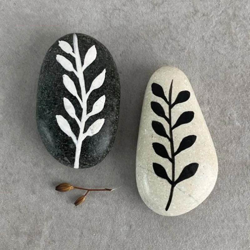 ΒΟΤΣΑΛΟ ΛΕΥΚΟ-STEM WITH LEAVES