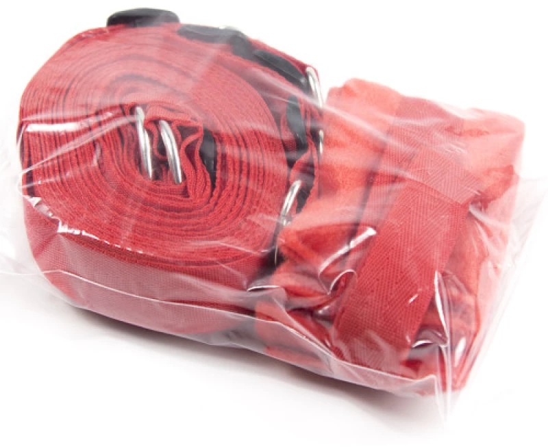 Red Bed Bondage Restraints System