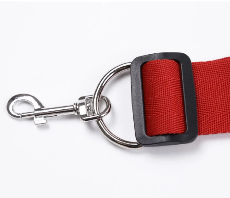 Red Bed Bondage Restraints System