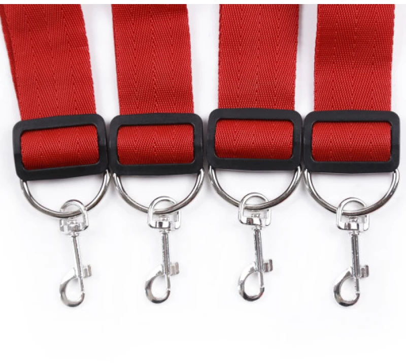 Red Bed Bondage Restraints System
