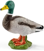 Schleich Φιγούρα Αρσενική Πάπια Drake Shleich - 13824