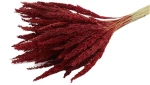Pinion Grass Slv RED