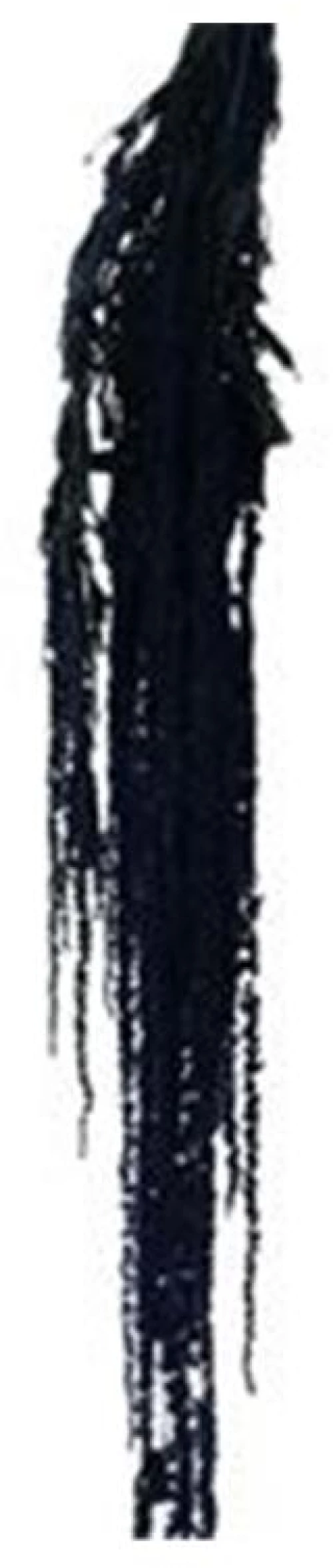Αμάρανθος αποξ.  μαύρο Η80cm