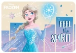 ΣΟΥΠΛΑ 43Χ29 εκ. FROZEN (#564387)