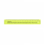 Χάρακας ErichKrause Neon 20cm 52998