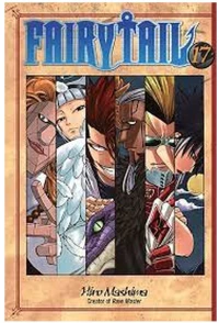 FAIRY TAIL 17
