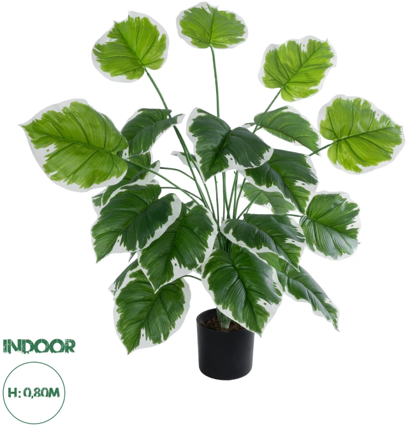 GloboStar® Artificial Garden WHITE HOSTA 20920 Διακοσμητικό Φυτό Λευκή Χόστα Υ80cm