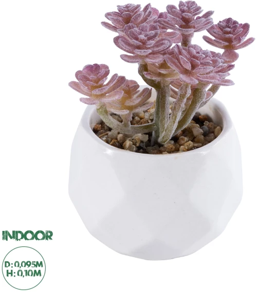 GloboStar® Artificial Garden SUCCULENT SEDUM 20988 Διακοσμητικό Φυτό Παχύφυτο Σέδο Υ10cm