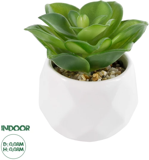 GloboStar® Artificial Garden SUCCULENT ECHEVERIA 21003 Διακοσμητικό Φυτό Παχύφυτο Εχεβέρια Υ8cm