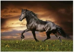 Educa - 1000 pcs - Trotting Horse Puzzle (80-19555) / Toys