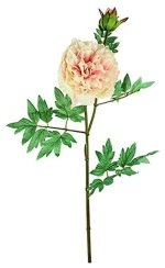 Παιώνια κλαδί ροζ H107cm