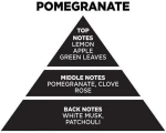 Αρωματικό Χώρου Σε Μαύρο Μπουκάλι Με Μαύρα Sticks "Pomegranate" 200ml Themagio 77331