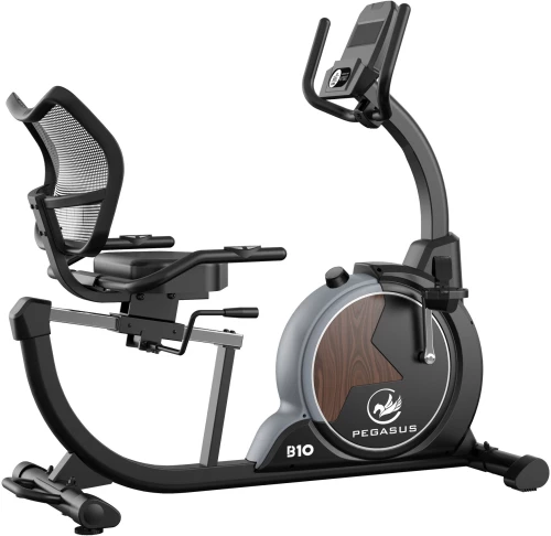 Pegasus® Καθιστό Ποδήλατο B10 341210685