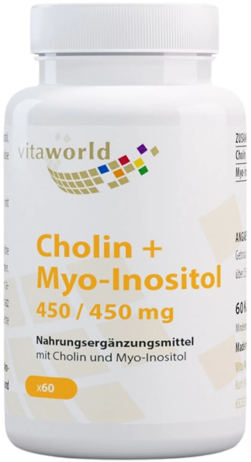 VitaWorld Cholin + Myo-inositol 450 mg [60 Κάψουλες]