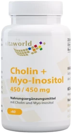 VitaWorld Cholin + Myo-inositol 450 mg [60 Κάψουλες]