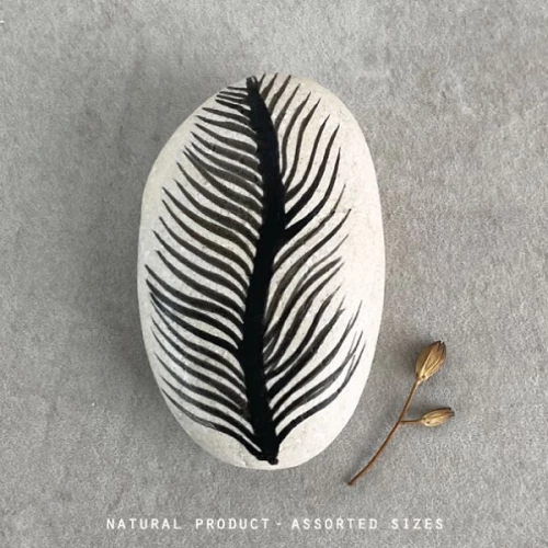 ΒΟΤΣΑΛΟ ΛΕΥΚΟ - FEATHER