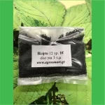 Βλήτο 12gr