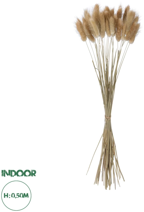 GloboStar® Artificial Garden REAL DRIED BEIGE WHEAT BUNCH  21219 Αποξηραμένο Διακοσμητικό Μπουκέτο Σιταριού Y50cm