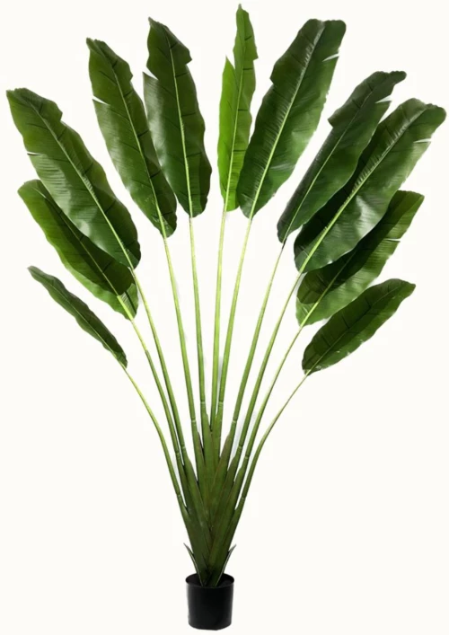 Supergreens Τεχνητό Δέντρο Πουλί του Παραδείσου "Strelitzia Ravenala" Πράσινο 250 εκ.