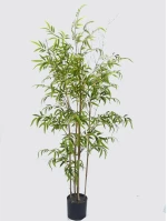 Supergreens Τεχνητό Δέντρο Φίκος "Ginseng" Πράσινο 150 εκ.