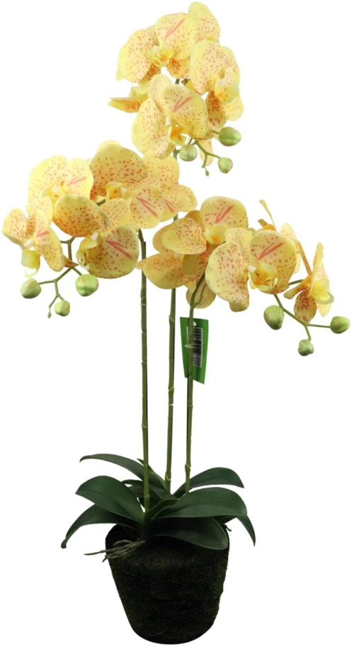 Supergreens Τεχνητό Φυτό Ορχιδέα Phalaenopsis Κίτρινο 80 εκ.